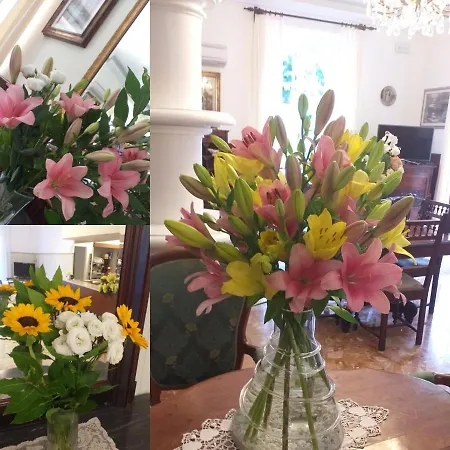 Palace Ξενοδοχείο 3*