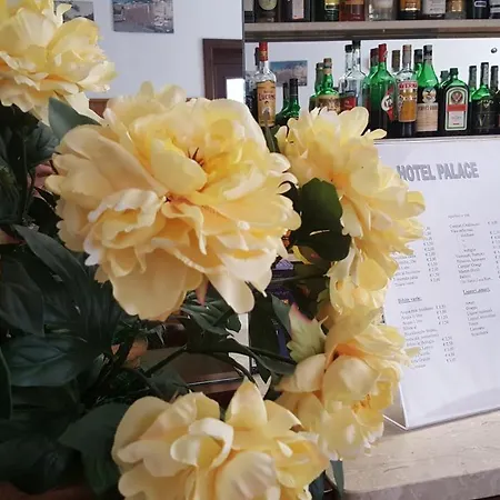 Palace Ξενοδοχείο 3*